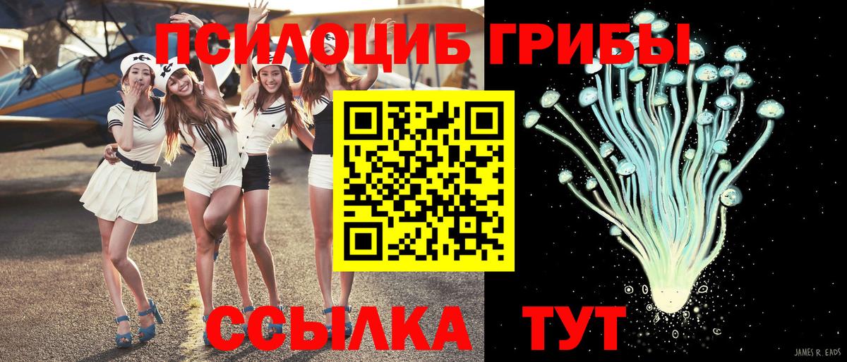 Галлюциногенные грибы Psilocybe Ханты-Мансийск